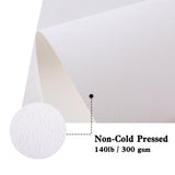 Watercolor Pad 9X1,140lb/300g, Professional Choice